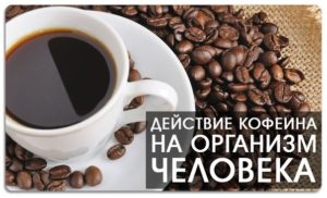 Кофеин: действие на организм, мифы и факты