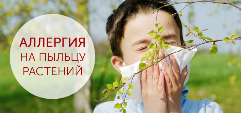 Аллергия на пыльцу. Что это такое и как её лечить?