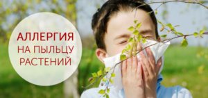 Аллергия на пыльцу. Что это такое и как её лечить?