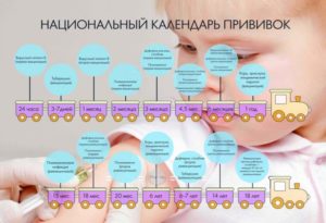Календарь вакцинации. Прививки для детей и взрослых