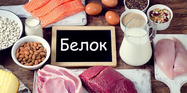 Источники белка. В каких продуктах он содержится?